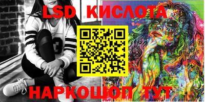 индика Владимир