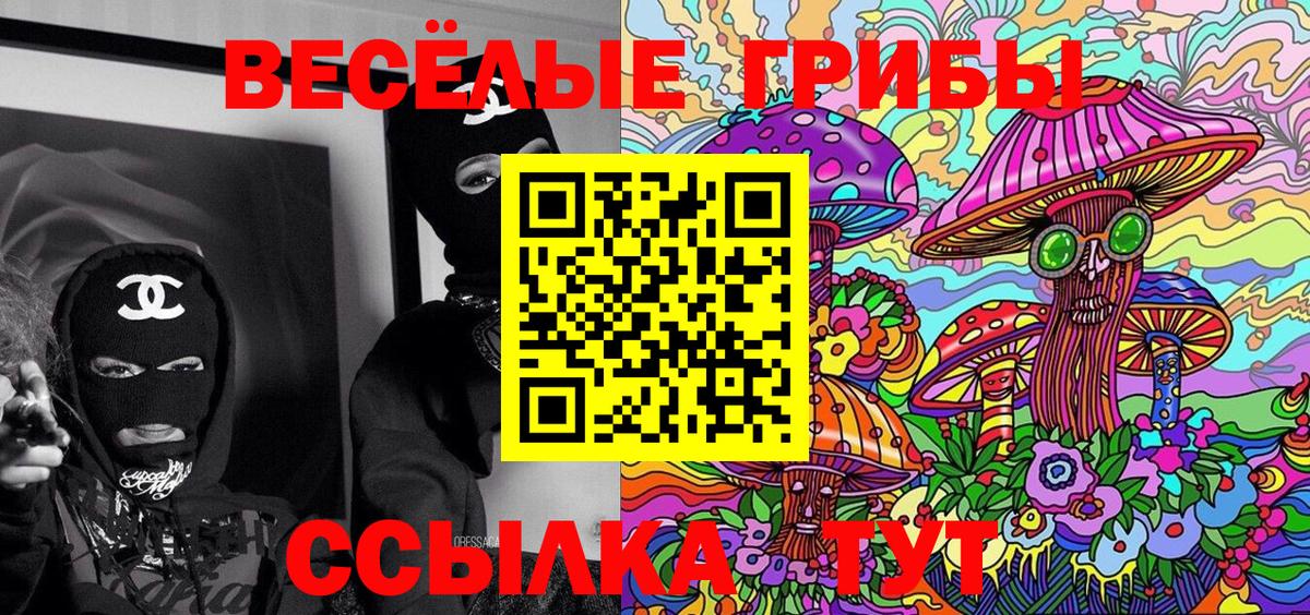 где можно купить наркотик  Галлюциногенные грибы MAGIC MUSHROOMS  Вход с VPN  Димитровград 